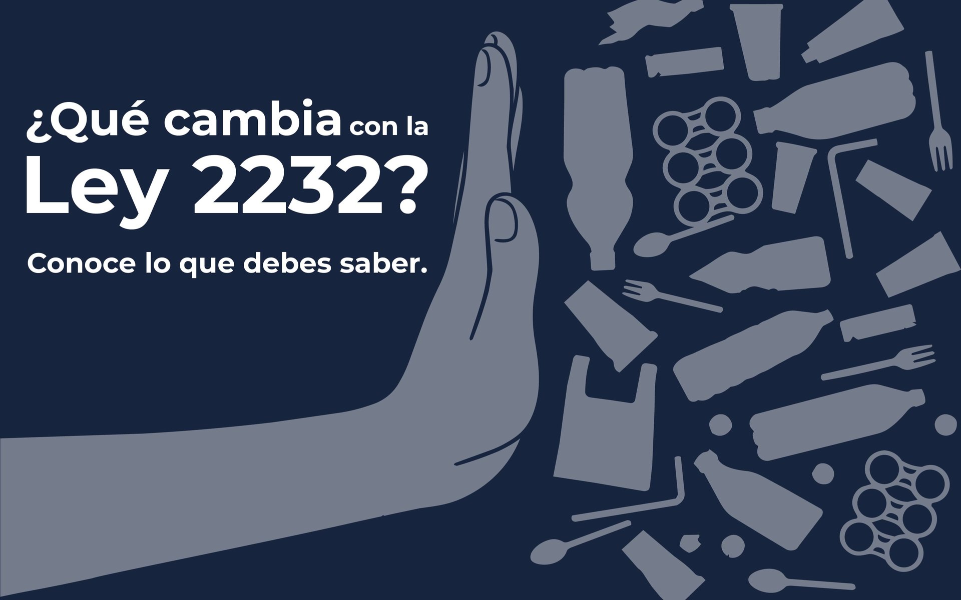 PENDIENTE: describir la foto de portada