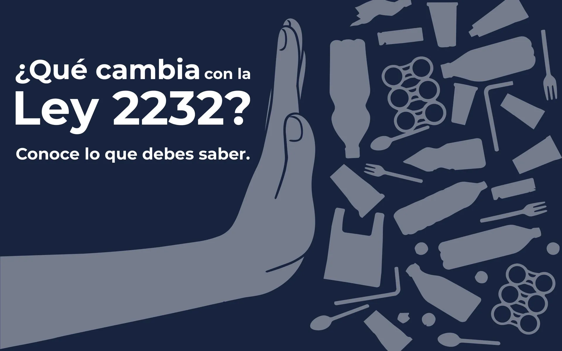 PENDIENTE: describir la foto de portada