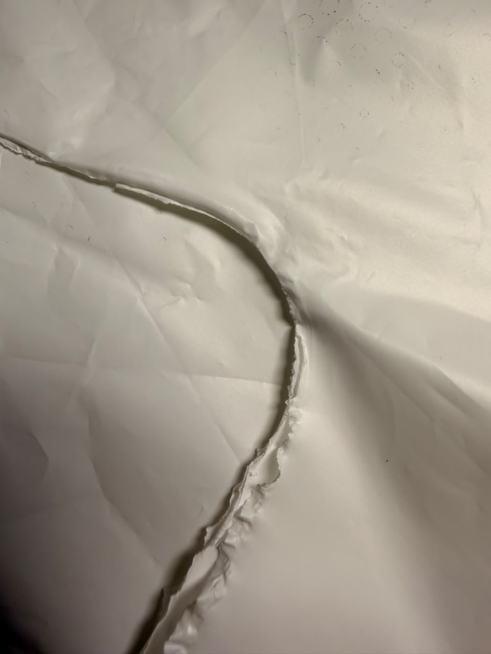 Fibra de bambú, material de la línea BioBambú