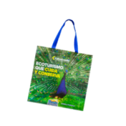 Bolsa Plana manijas_Full color